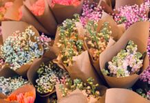 Hurtownia kwiatów – miejsce, w którym dostaniesz najlepsze rośliny Hurtownia kwiatów